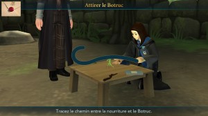 Soins aux créatures magiques C